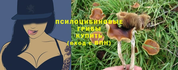 молекула духа Абинск